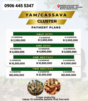 Half & Full Acres of Yam and Cassava Farmland, Mowe-ofada, Obafemi Owode, Ogun, Land for Sale