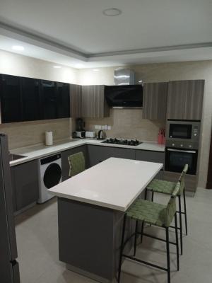 Furnished 4-bedroom Terraced Duplex with Home Office, Off Afred Rewane, Ikoyi, Lagos, Terraced Duplex for Rent