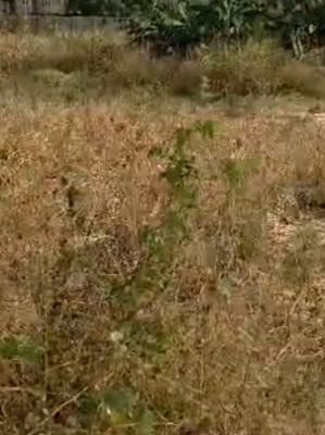 3000 Sqm of Land, Jahi, Abuja, Mixed-use Land Joint Venture