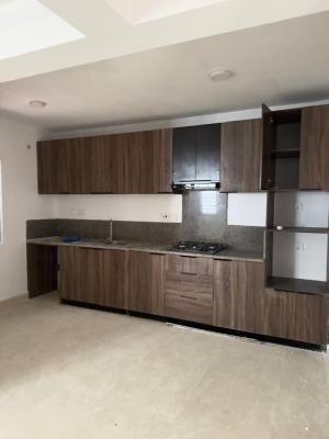 Luxury 2 Bedroom Apartment with Excellent Facility, Osapa, Lekki, Lagos, Flat / Apartment for Rent