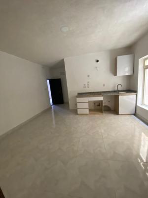 Newly Built Fully Serviced 1 Bedroom Apartment with Open Kitchen, Ikate, Lekki, Lagos, Mini Flat (room and Parlour) for Rent