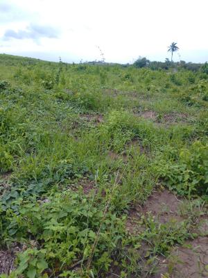 80 Plots of Affordable Land, Off Monastery Road, Sangotedo, Ajah, Lagos, Land for Sale