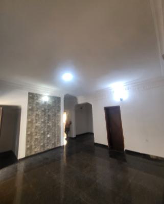 Luxurious Massive 2bedroom Flat, By Grand Pela Hotel, Durumi, Abuja, Flat / Apartment for Rent