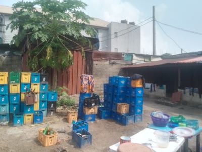 Fenced Vantage Land, Oke Ira, Ajah, Lagos, Mixed-use Land for Sale