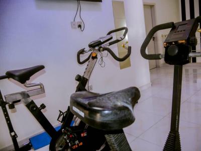 Fully Furnished 4 Bedroom Duplex with Bq, Lekki, Lagos, Flat / Apartment for Rent