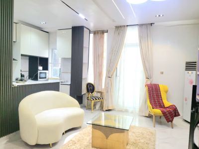 Fully Furnished 2-bedroom Apartment, Off Freedom Way, Lekki Phase 1, Lekki, Lagos, Flat / Apartment for Rent