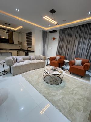 Luxury 2 Bedroom Apartment, Ikate, Lekki, Lagos, Flat / Apartment for Sale