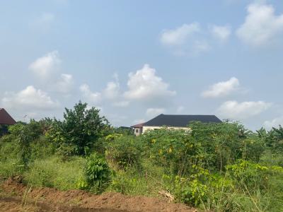 Well Located and Table Dry Land, Off New Road Adageorge / Mgbaraja, Port Harcourt, Rivers, Residential Land for Sale