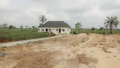 Affordable Land with C of O Processing, Lush Garden 4 Ogun State Via, Epe, Lagos, Land for Sale
