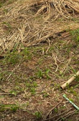 Exclusive 380sqm of Land Available, Harmony Estate, Gra Phase 2, Magodo, Lagos, Residential Land for Sale