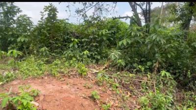 6 Plots of Land, Sagamu Ikorodu Road, Ikorodu, Lagos, Mixed-use Land for Sale