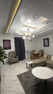 Luxury Fully Furnished 2-bedroom Apartment, Wuye, Wuye, Abuja, Flat / Apartment for Rent