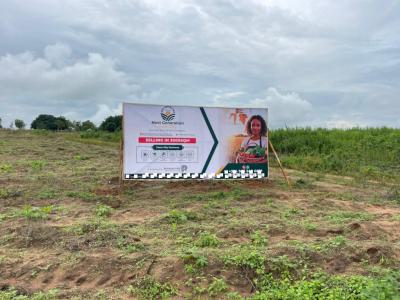 Fertile and Affordable Farmland, Next Generation Farm City Igbo Ora Road, Abeokuta South, Ogun, Commercial Land for Sale