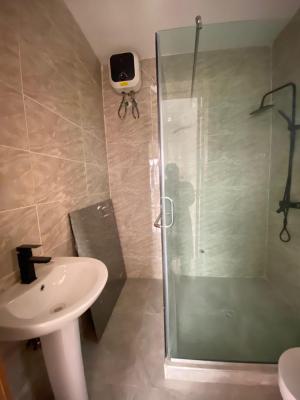 Luxury 3 Bedroom Apartment with Excellent Facility, Ikate, Lekki, Lagos, Flat / Apartment for Sale