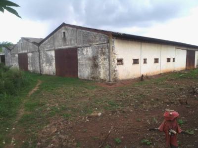 3-bay Warehouse Built 7 Acres of Industrial Land., Ota Industrial Estate, Ado-odo/ota, Ogun, Warehouse for Sale