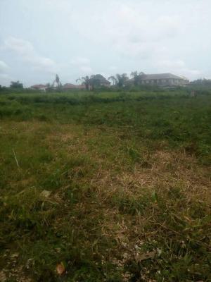 5 Plots of Land, Olusegun Daniel Street, Ipaiye Bus Stop, Iba, Ojo, Lagos, Mixed-use Land for Sale