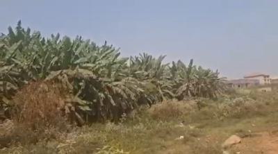 1500sqm Land, Gudu, Abuja, Residential Land Joint Venture