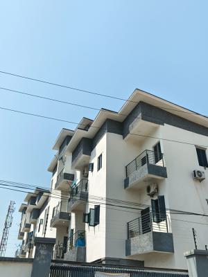 Luxury Furnished 2 Bedroom Penthouse, Conservation Road, Lekki, Lagos, House for Sale