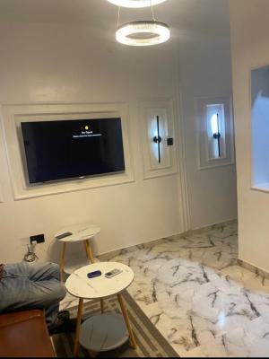 Furnised Mini Flat + Amenities, Lovely Environment Opebi Ikeja, Opebi, Ikeja, Lagos, Mini Flat (room and Parlour) for Rent