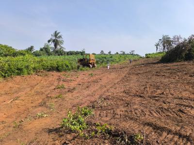 Land with Government Approved Excision, Oke-ogun, Ibeju Lekki, Lagos, Residential Land for Sale