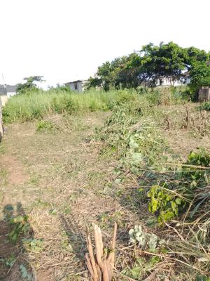a Serviced Plot of Land, Adiva Beachwood Estate, Lekki Expressway, Lekki, Lagos, Residential Land for Sale