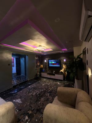 Luxury Furnished Two-bedroom Flat, Ogudu, Lagos, Flat / Apartment for Rent