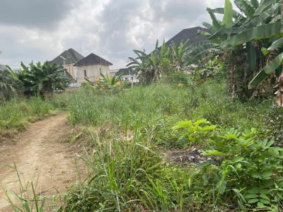 Well Located Two (2)  Plots of  Corner Piece  Land, Eneka Link Road ( Shell Cooperative), Port Harcourt, Rivers, Residential Land for Sale