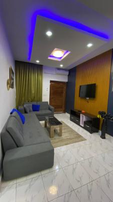 Spacious 2 Bedroom Serviced Furnished Apartments in a Secured Environs, Maryland, Lagos, Flat / Apartment for Rent