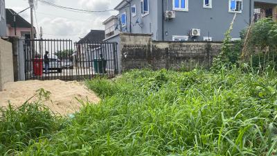 Well Located and Table Dry 2 Plots of Land, Eneka Link Road, Eneka, Port Harcourt, Rivers, Residential Land for Sale