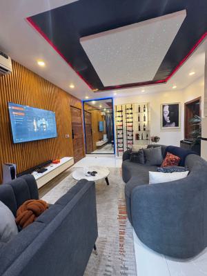 Furnished 2bedrooms Apartment Available, Lekki Phase 1, Lekki, Lagos, Flat / Apartment for Rent