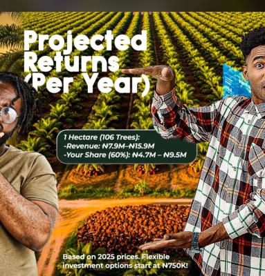 Most Affordable Farmland in, Harvest Groove Estate in Ayepe Odogbolu Lga, Km 46, Ogun, Commercial Land for Sale