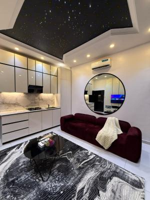 Luxuriously Finished One Bedroom Apartment with Bathtub, Chevron, Lekki, Lagos, Flat / Apartment Short Let