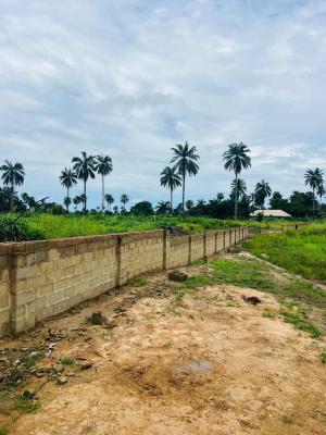 Affordable Commercial and Residential Dry Land with C of O, Commercial and Residential Dry Land,ibefun Omu Epe , Ikorodu Road, Epe, Lagos, Mixed-use Land for Sale