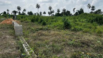 Land with Good Drainage System, Perimeter Fencing, Elegant City Estate in Ibefun, Km 46, Ogun, Mixed-use Land for Sale