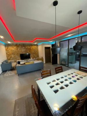 Fully Furnished Elegant Looking 2 Bedroom Apartment, Ilasan, Lekki, Lagos, Flat / Apartment for Sale