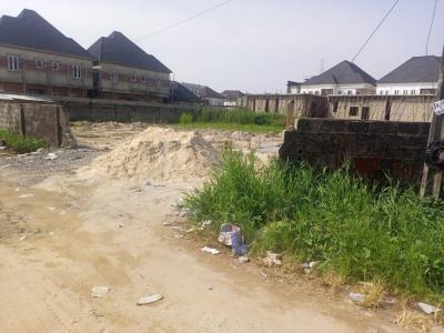 600sm Land Fenced, Behind Lekki Conservative Garden, Lekki, Lagos, Land for Sale