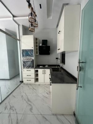 Luxury 2 Bedroom Apartment with Excellent Facility, Lekki Phase 1, Lekki, Lagos, Flat / Apartment for Rent