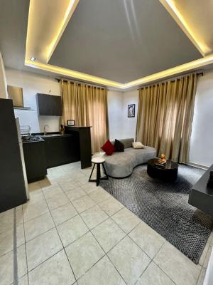 Beautifully Furnished 1 Bedroom Apartment, Lekki Phase 1, Lekki, Lagos, Flat / Apartment for Rent