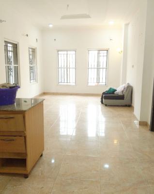 Nice and Standard Mini Flat, Serene and Secure Bera Estate Chevron Lekki, Lekki Expressway, Lekki, Lagos, Mini Flat (room and Parlour) for Rent