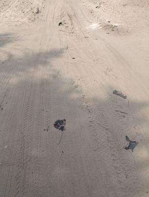 Prime 840 Sqm Plot with Consent, Cappa Crescent Palmgrove Estate, Palmgrove, Ilupeju, Lagos, Residential Land for Sale