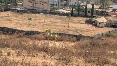 Strategic 10,000sqm Commercial/residential Land (c of O), Apo Resettlement, Apo, Abuja, Mixed-use Land for Sale