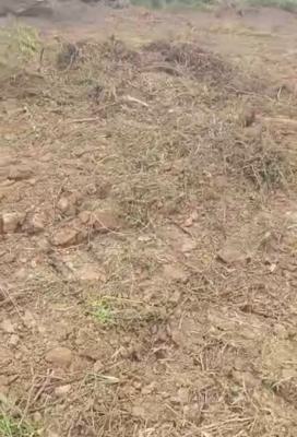 Plots of Dry Land, Igboye, Epe, Lagos, Land for Sale