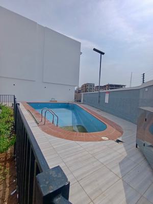 Luxury and Elegant Brand New with Pool and Gum, Off Freedom Way, Lekki Phase 1, Lekki, Lagos, House for Rent