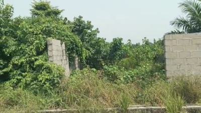 1,000sqm Dry Land, Ajayi Apata Estate, Sangotedo, Ajah, Lagos, Mixed-use Land for Sale