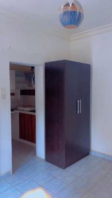 Exquisitely Finished Brand New Massive Mini Flat, Seaside Estate, Badore, Ajah, Lagos, Mini Flat (room and Parlour) for Rent