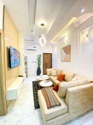 Fully Furnished 2 Bedroom  Apartment, Chevron Drive, Lekki, Lagos, Flat / Apartment for Rent