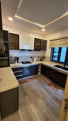 Tastefully Furnished and Fully Fitted and Serviced 2 Bedroom En-suite, Ikate Elegushi, Lekki, Lagos, Flat / Apartment for Rent