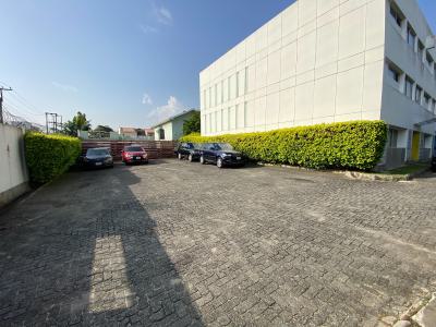 Luxury 4-bedroom Terrace Duplex with Bq, Parkview Estate, Ikoyi, Lagos, Terraced Duplex for Rent