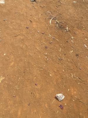 1000 Sqm Plot of Land with Fcda C of O, Jahi, Abuja, Mixed-use Land for Sale