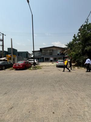a Very Large Duplex, Victoria Island (vi), Lagos, Commercial Property for Rent